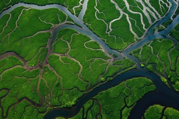 Foto op Plexiglas bewildering maze of waterways and tributaries in the amazonas, created with generative ai © primopiano