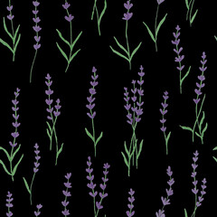 Fototapeta na wymiar Hand drawn seamless pattern with shining glowing line art provance vertical purple lavender flowers.Floral spring summer botanical backdrop on black background.