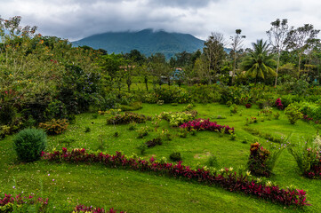 A view over borders of Ti Plants towards the volcano on the outskirts of La Fortuna, Costa Rica in...
