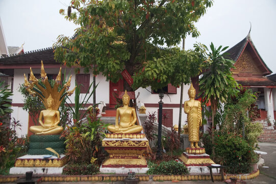 Many golden sitting and standing Buddhas, set up an outdoor at Wat Mai Souvannapoumaram is a biggest temple in Luang Prabang city. And is an important place that tourists are popular to visit. Loas.