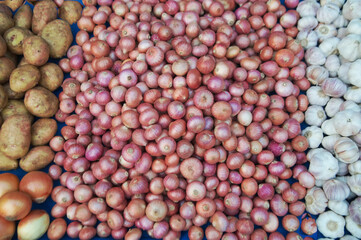 Texture or background of pile of common onions , white garlic and potato shallots raw vegetables fresh organic food.