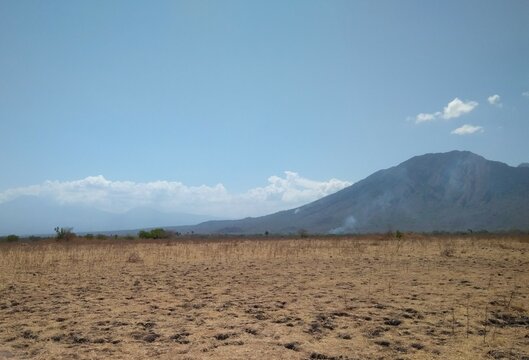 Scenic View of Bekol Savanna At Baluran National Park, Situbondo Banyuwangi, East Java, Indonesia, Asia