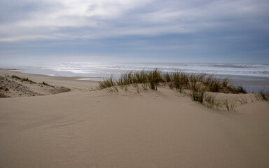 Sand dune on the ocean coastline