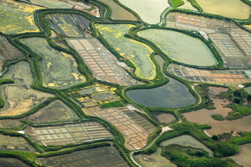 Obraz premium vue aérienne des salines de Guérande en France 