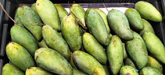 Organic mango fruit in the supermarket,closeup of photo.Fresh green mango on a market stall.