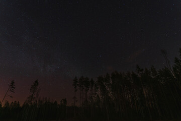 Night scene, starry sky in the Estonian forest.