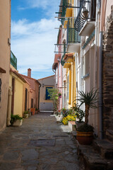 Fototapeta na wymiar une ruelle colorée à Collioure avec des plantes en pot