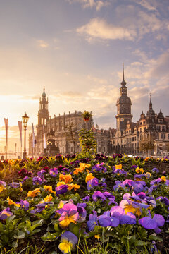 Altstadt von Dresden zu Sonnenaufgang im Fr&uuml;hling