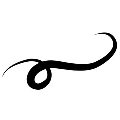 Swirl stroke ornament. Ornamental curls, swirls dividers and filigree ornament vector illustration