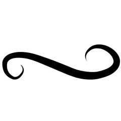 Swirl stroke ornament. Ornamental curls, swirls dividers and filigree ornament vector illustration