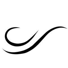 Swirl stroke ornament. Ornamental curls, swirls dividers and filigree ornament vector illustration