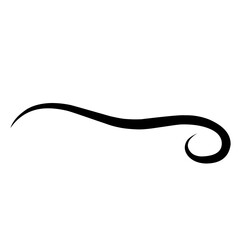 Swirl stroke ornament. Ornamental curls, swirls dividers and filigree ornament vector illustration