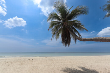 Obraz premium Coconut palm tree on beautiful white sandy beach and cloudy blue sky, nice sea view tropical landscape summer beach, relaxation holiday vacation at paradise island.