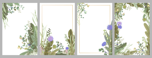 collection of vector floral frames from wild berries, flowers and herbs