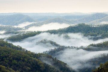 Fototapeta na wymiar Early Morning Mountains and Fog