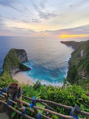 Kelingking Beach Nusa Penida : Monkey sitting on top of an idyllic beach in Bali at sunset