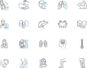 Human body outline icons collection. Anatomy, Organ, Skeleton, Muscle, Cell, Heart, Lungs vector and illustration concept set. Brain, Nerve, Skin linear signs