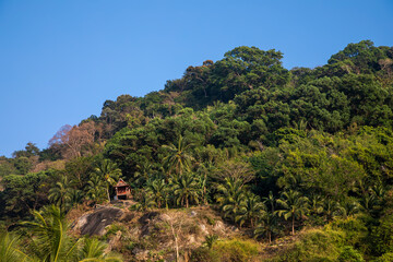 Fototapeta na wymiar Beautiful green jungle on the mountain. Blue sky. Colorful nature of thailand. Paradise place.