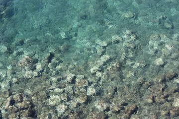 Obraz premium seabed view from above