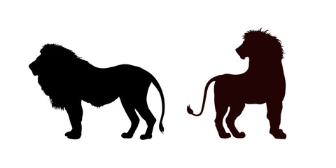 lion silhouette vector