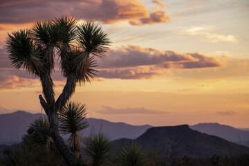 sunset in the high desert mountains
