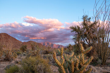 sunset in the Arizona desert