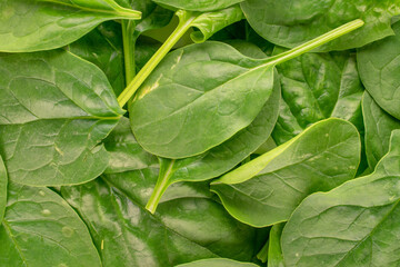 Fresh green spinach leaves, macro, top view.