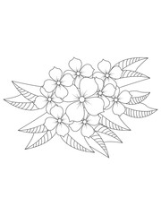 

 Flowers  Leaves Coloring page Adul and Flower Outline Illustration for Covering Book. Coloring book for kids and adults.