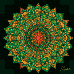 Vector luxury mandala decorative background