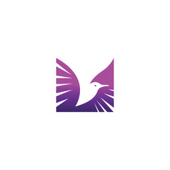 bird logo template abstract design vector illustration