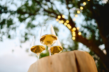 Golden wineglasses rest on a limestone ledge; oak trees and fairy lights set a sunset aperitivo...