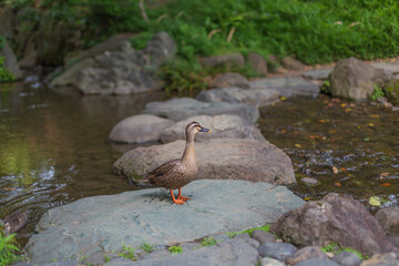 Looking at one point, beyond