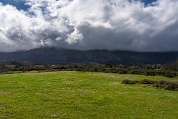 Fototapeta na wymiar Green meadows with flowers and high mountains in the background with clouds threatening storm, Spain, Asturias.