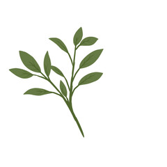 Leaves Illustration 