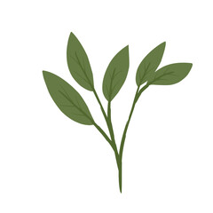 Leaves Illustration 