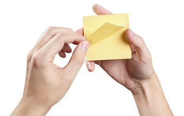 Hands holding stack of yellow stickers, cut out