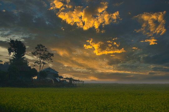 Landscape of rural side area in Faridpur, Bangaldesh.