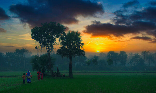Landscape of rural side area in Faridpur, Bangaldesh.
