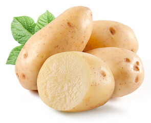 Raw potatoes, fresh uncooked staple food on white background.