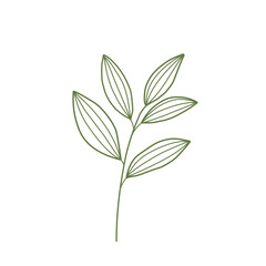 Leaf Lineart 