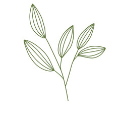 Leaf Lineart 