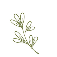 Fototapeta premium Leaf Lineart 