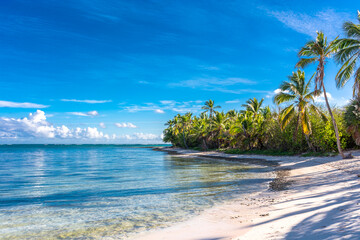 Dominican Republic Punta Cana, beautiful Caribbean sea coast with turquoise water and palm trees