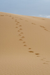The beautiful sand dunes in bou saada the closest desert place for the capital.