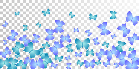 Exotic blue butterflies abstract vector wallpaper. Summer pretty moths. Fancy butterflies abstract children illustration. Tender wings insects patten. Tropical beings.
