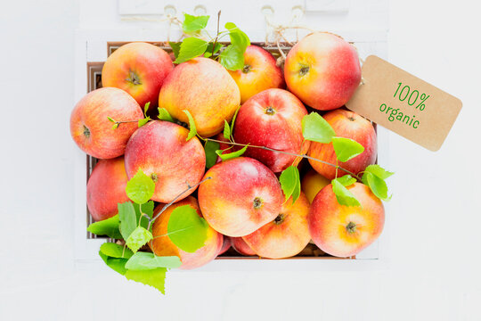 Natural red apples with green leaves in wooden box with label with text 100 percent organic. Concept of new crop and harvest. Seasonal, farm fruits. Close up, flat lay - Powered by Adobe