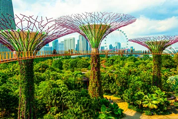 Foto op Aluminium The Gardens by the Bay, located within the Marina Bay Sands complex in Singapore, is an extraordinary complex of botanical gardens © IRINA