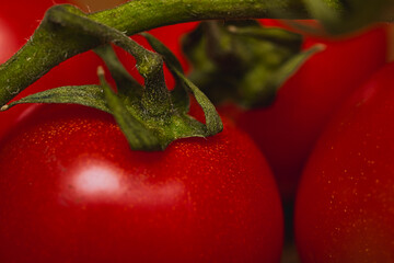  pomidor 