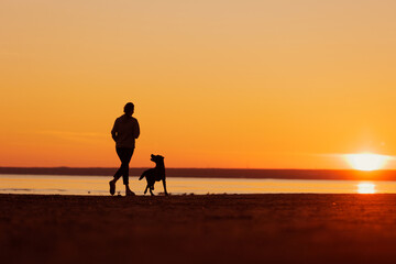 woman and dog on run on seashore, silhouette against background of setting sun. healthy lifestyle, freedom and outdoor sports. labrador retriever dog