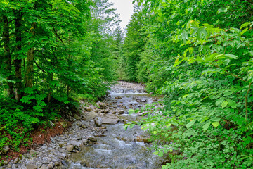 Mountain Stream in the Bavarian Alps